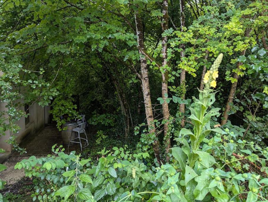 Gite Zen Dans Les Bois Blesignac Eksteriør billede